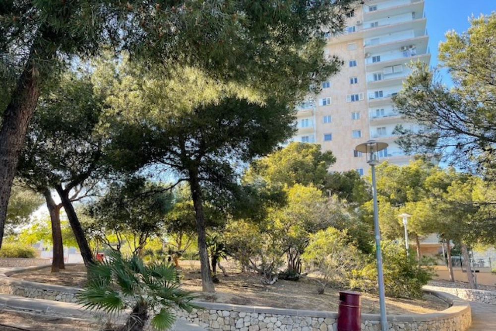 4 Bedrooms Bedrooms, 0 ,2 BathroomsBathrooms,Apartment,For Sale,0,1026
