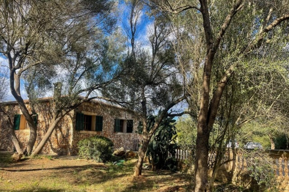 4 Bedrooms Bedrooms, 0 ,3 BathroomsBathrooms,Villa,For Rent,0,1057