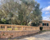 4 Bedrooms Bedrooms, 0 ,3 BathroomsBathrooms,Villa,For Rent,0,1057
